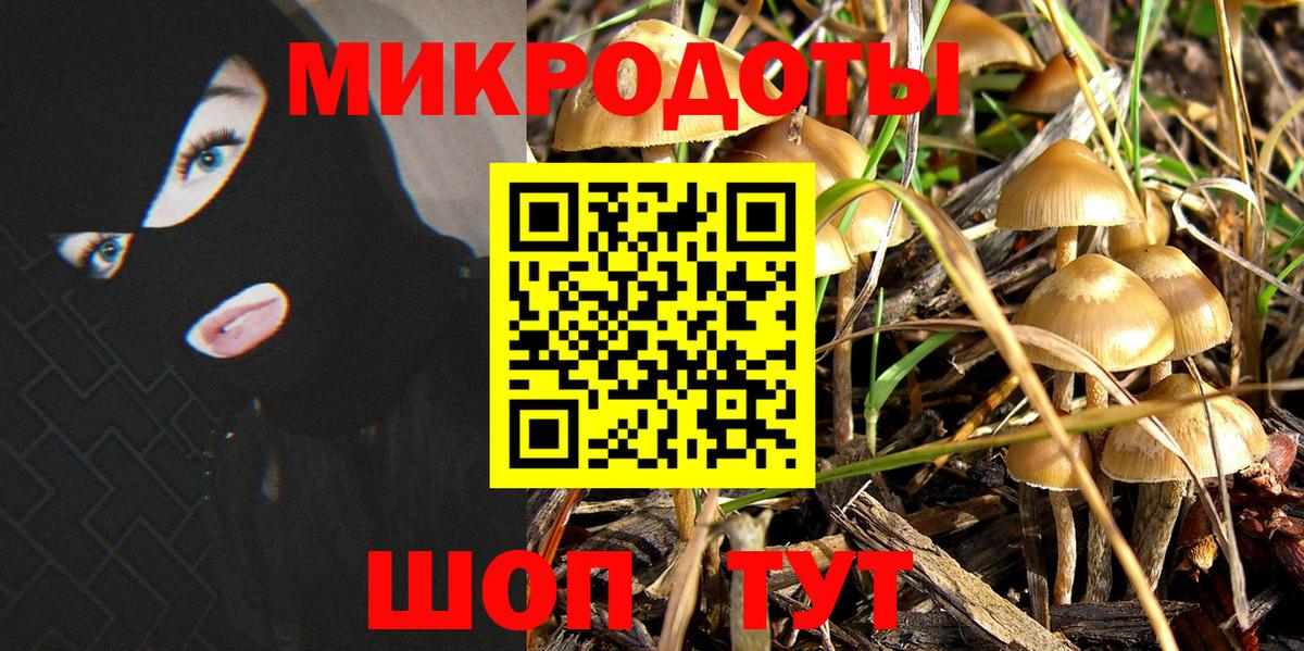 Ногинск  Псилоцибиновые грибы мухоморы  Вход с VPN 