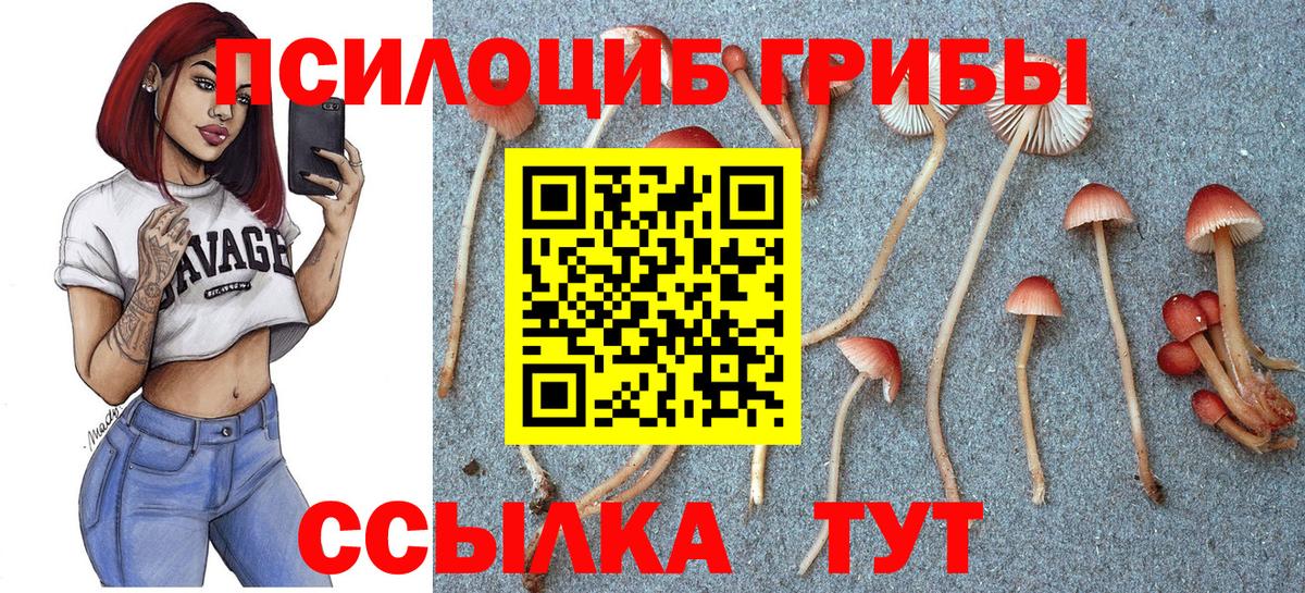 Псилоцибиновые грибы мухоморы Ногинск